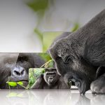 Ново поколение Corning Gorilla Glass